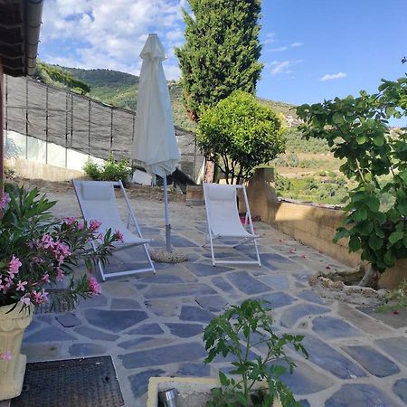 La Casa Del Podere Castellaro  Exterior photo
