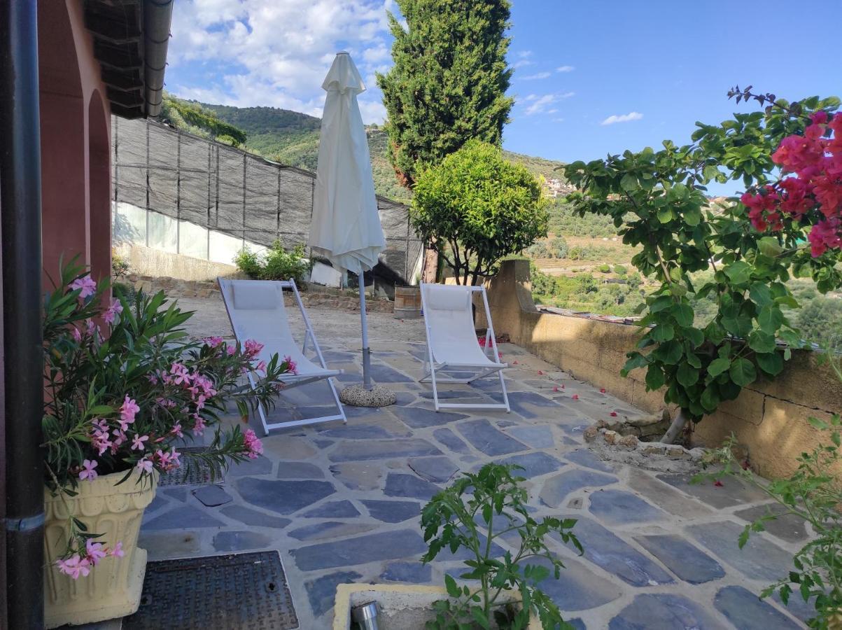 La Casa Del Podere Castellaro  Exterior photo